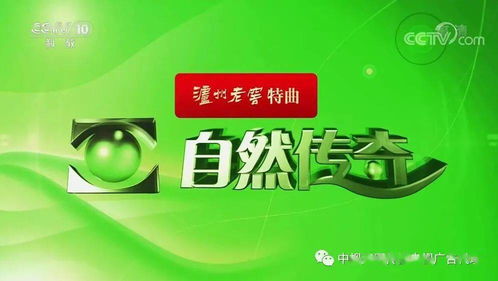 建材行業(yè)央視廣告投放策略及專業(yè)代理服務(wù)解析
